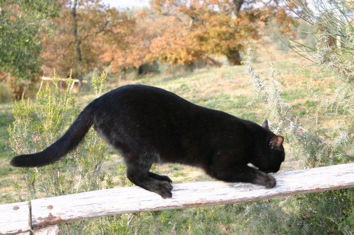 Podere Campovecchio Rapale Zewnętrze zdjęcie