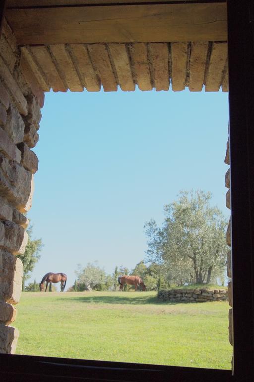 Podere Campovecchio Rapale Pokój zdjęcie