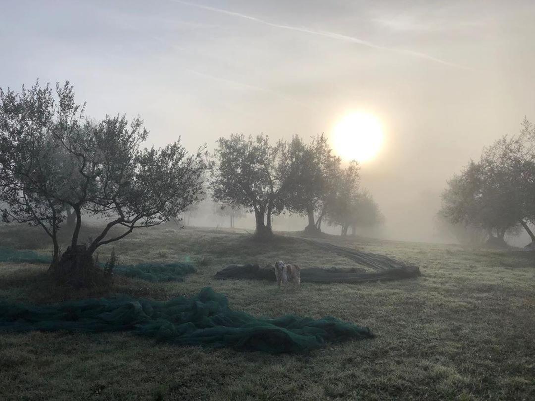 Podere Campovecchio Rapale Zewnętrze zdjęcie